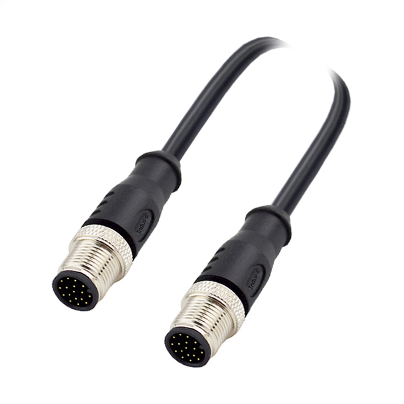 M12 17pins  A code male to male straight molded cable,shielded,PVC,-10°C~+80°C,26AWG 0.14mm²,brass with nickel plated screw