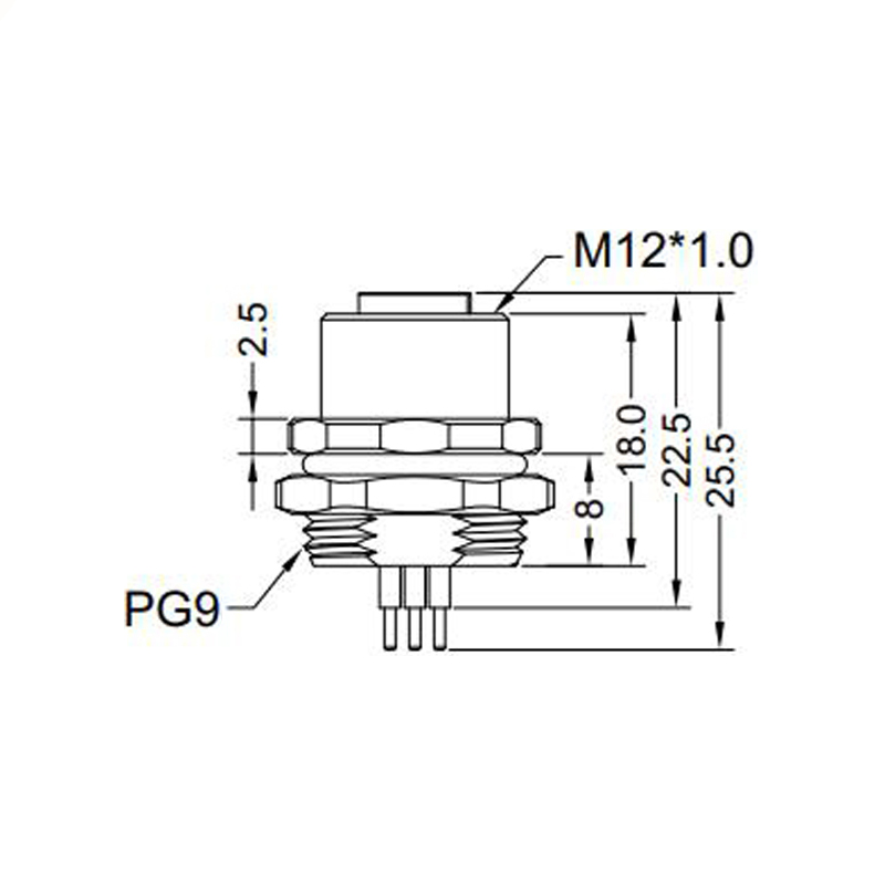 M12 5pins C code female straight rear panel mount connector PG9 thread,unshielded,insert,brass with nickel plated shell