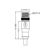 M12 8pins A code male straight molded cable,unshielded,PVC,-40°C~+105°C,24AWG 0.25mm²,brass with nickel plated screw