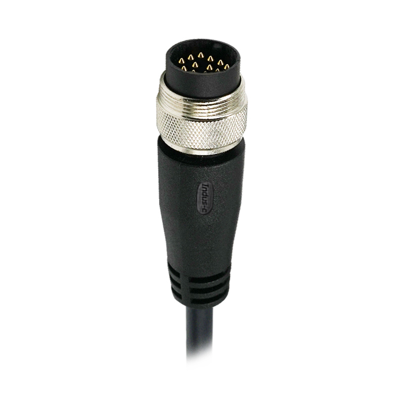 M16 12pins A code male straight molded cable,unshielded,PVC,-40°C~+105°C,24AWG 0.25mm²,brass with nickel plated screw