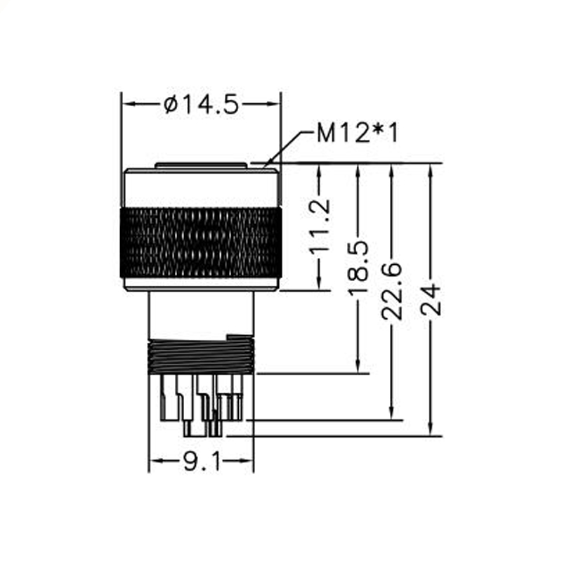 M12 12pin A code female moldable connector,unshielded,brass with nickel plated screw