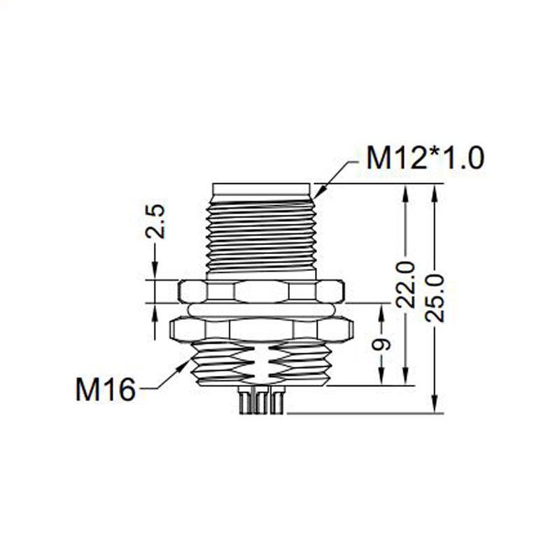 M12 5pins C code male straight rear panel mount connector M16 thread,unshielded,solder,brass with nickel plated shell