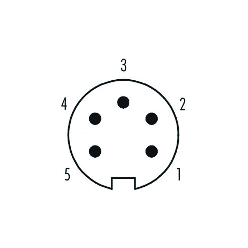 M16 5pins A code male moldable connector,unshielded,brass with nickel plated screw