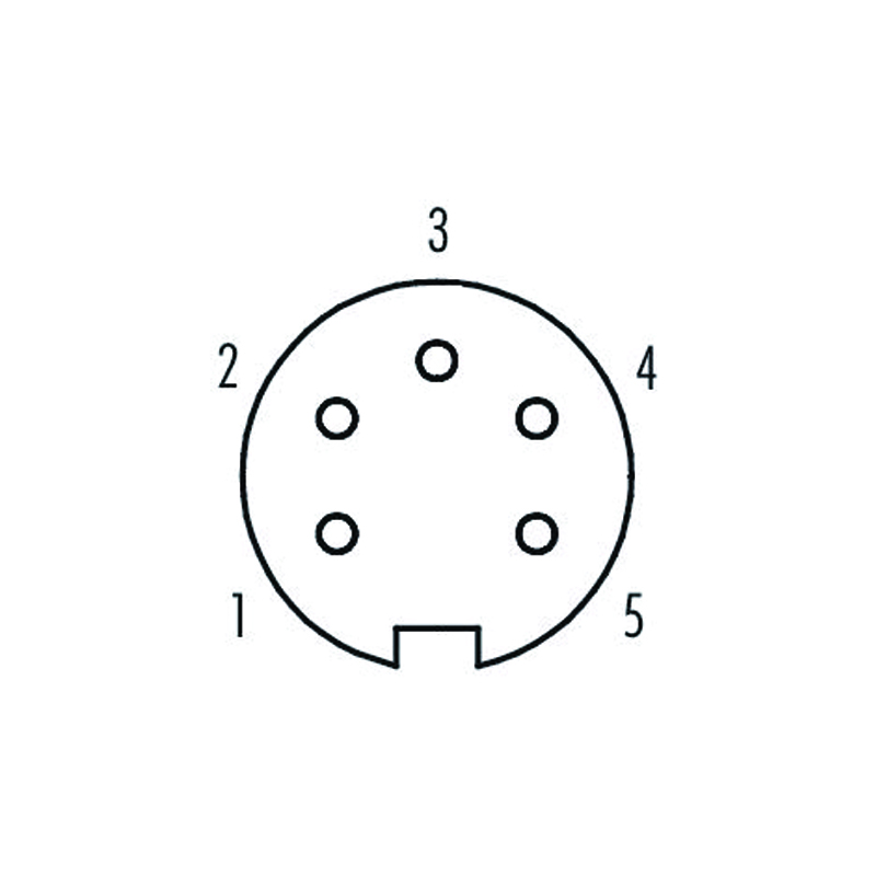 M16 5pins A code female moldable connector,unshielded,brass with nickel plated screw