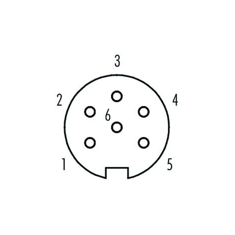 M16 6pins A code female straight molded cable,unshielded,PUR,-40°C~+105°C,18AWG 0.75mm²,brass with nickel plated screw