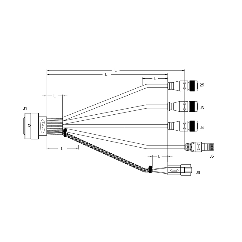 TE connector to 3xM12 to RJ45 to Amphenol connector breakout cable assembly