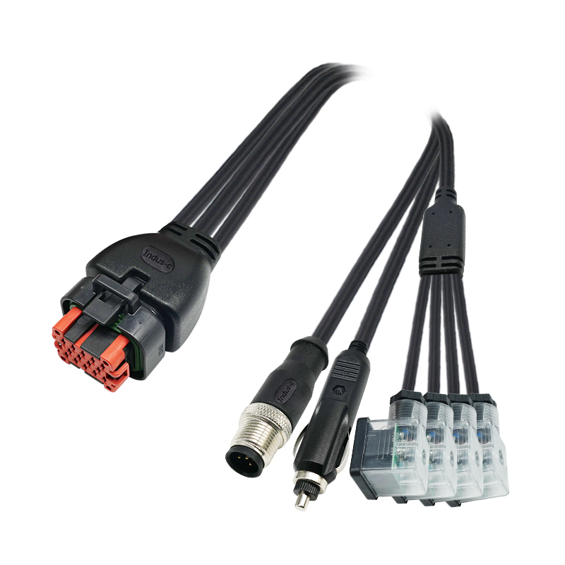 TE 776273-1 to Power Plugf+4xSolenoid valve+M12 4pins A code male connector