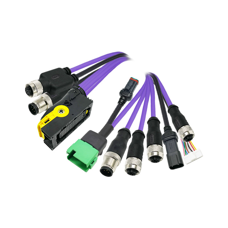 TE to 2xM12 male+4xM12 female+3xAmphenole+Molex connector cable